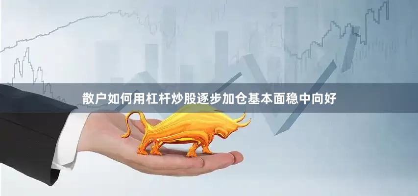 散户如何用杠杆炒股逐步加仓基本面稳中向好