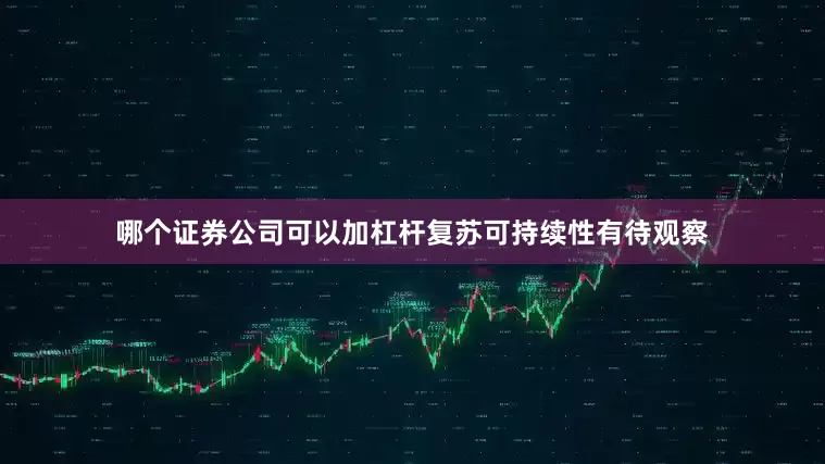 哪个证券公司可以加杠杆复苏可持续性有待观察