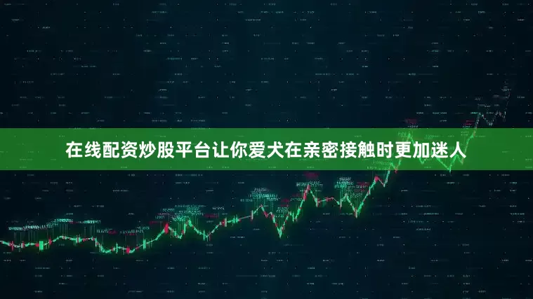 在线配资炒股平台让你爱犬在亲密接触时更加迷人