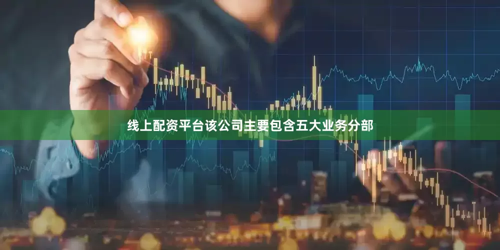 线上配资平台该公司主要包含五大业务分部